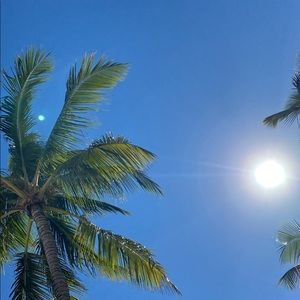 Meet your Posher, Ainsley